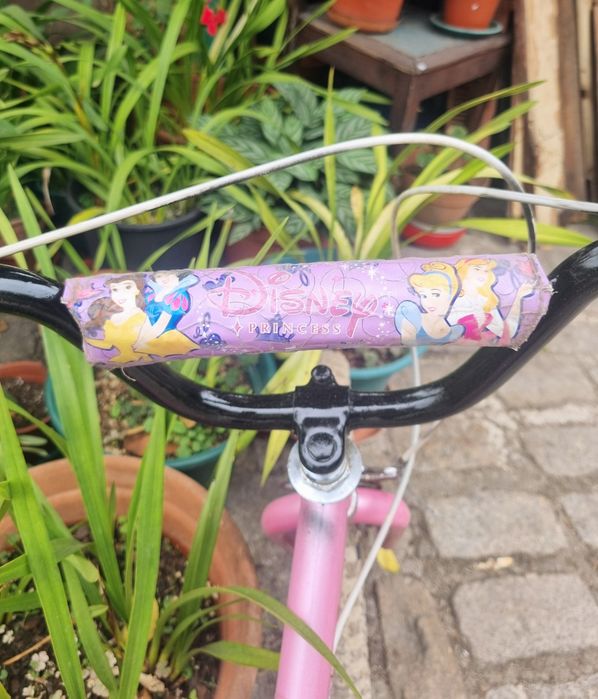Bicicleta Disney Princesas (4-6 anos)