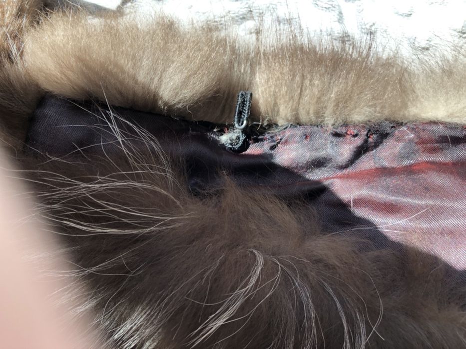 Чорнобурка, чернобурка, комір хутро