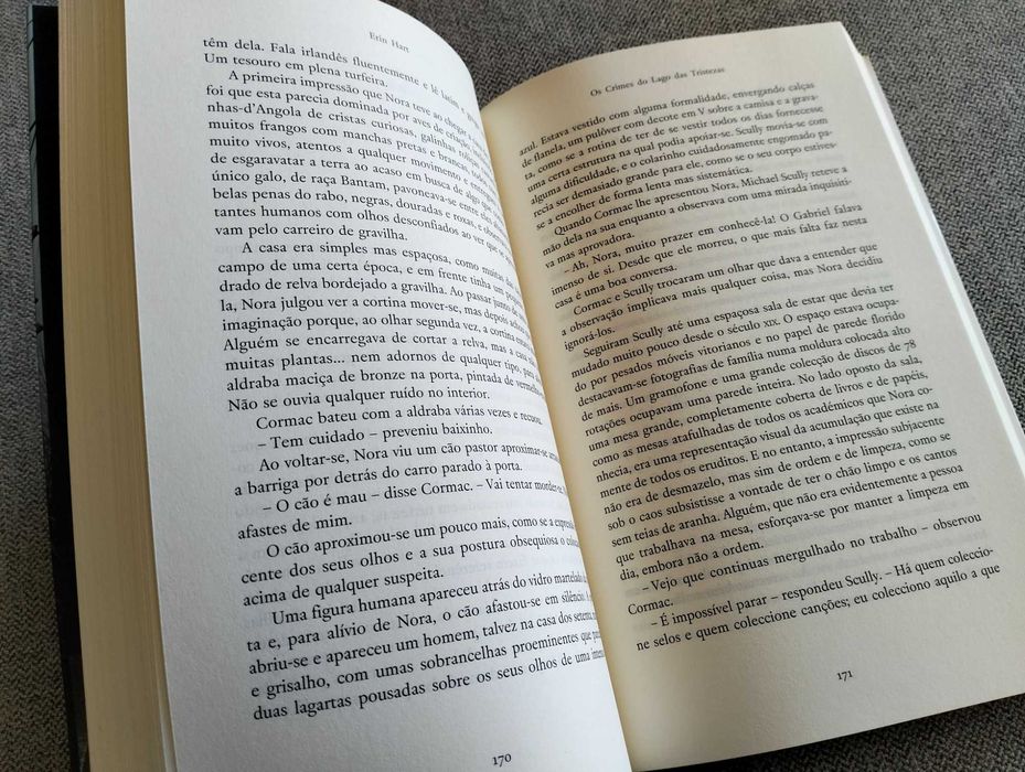 Livro "Os crimes do lago das tristezas" Erin Hart