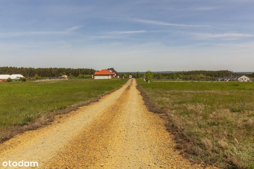 Przytok: 1275m2 pod dom. Media na działce
