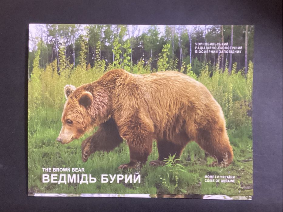 ведмідь бурий в сув.упаковці