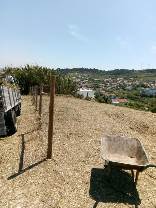 Serviços de construção e Limpeza de terrenos