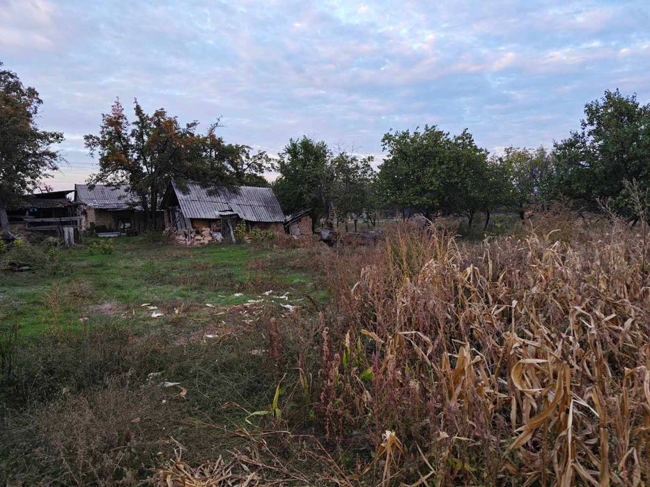 ПРОДАЮ 2 ділянки 50 соток С.ВІЙСЬКОВЕ Абельханова Дніпропетровська обл