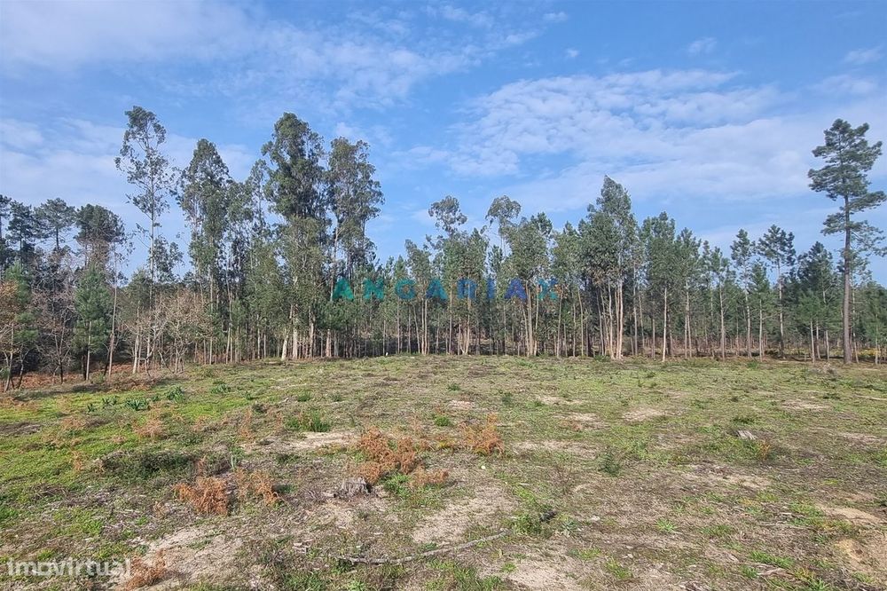 ANG1017 - Terreno de 4174m2 à Venda em Maceira, Leiria