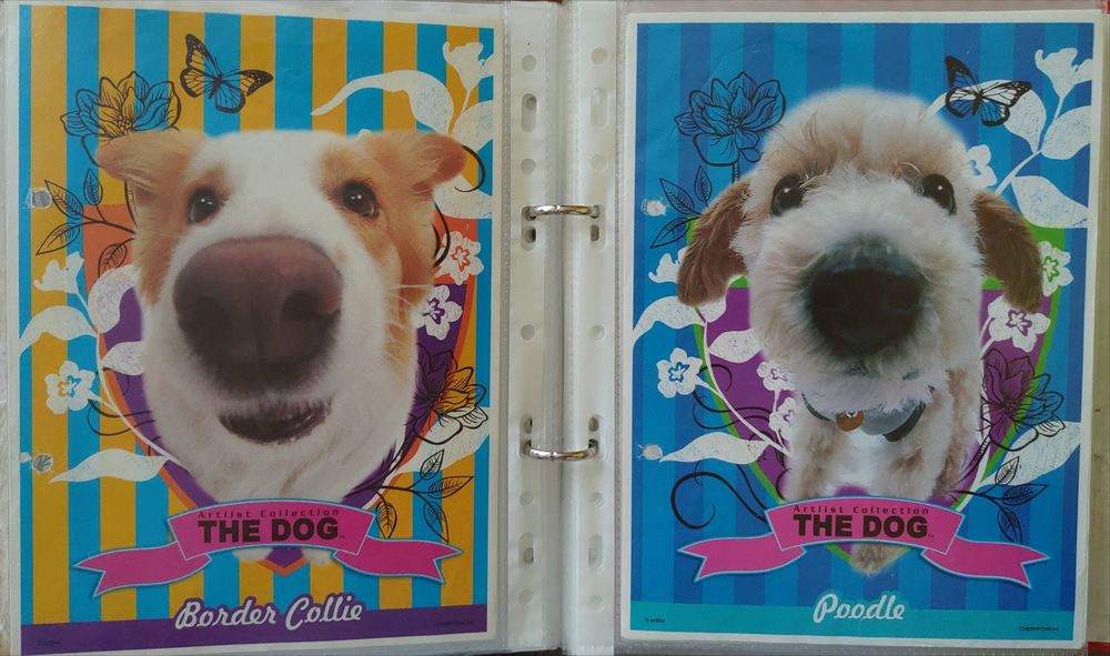 Karteczki do segregatora Zwierzęta