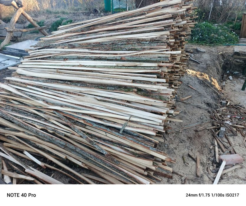 Zrzyny dębowe Okazja