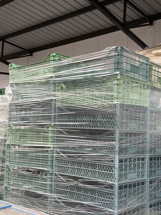 Ящики пластикові пластмасові для фруктів і овочів опт роздріб