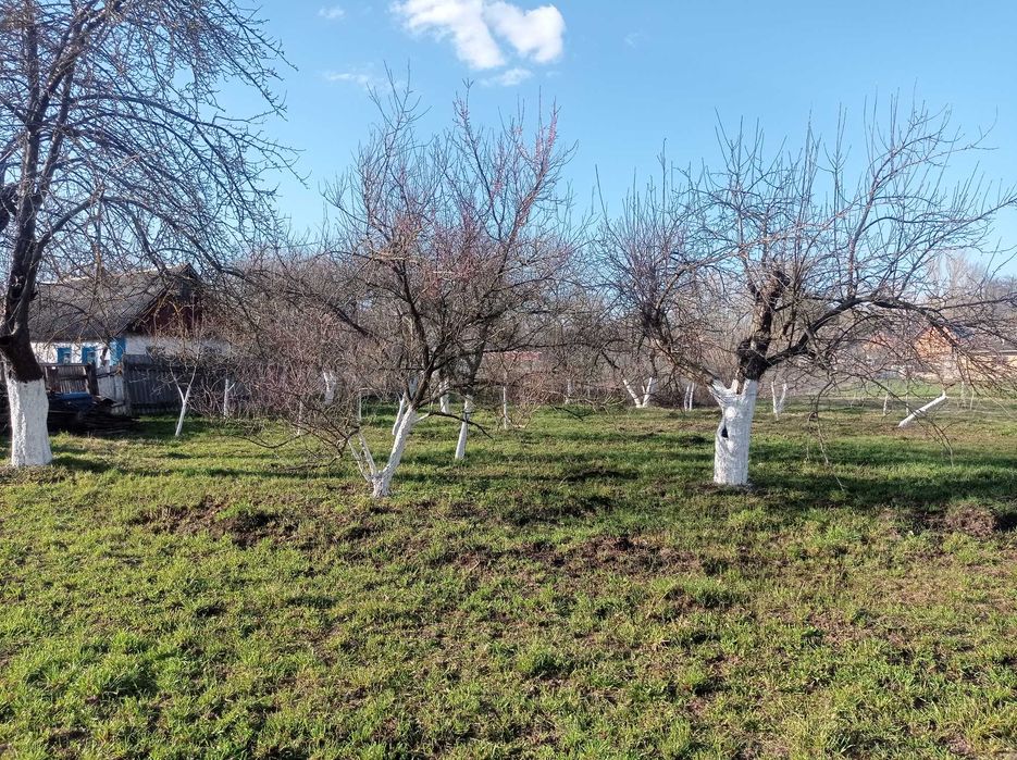 Житловий будинок Кутищі. Можливий обмін на Бус.