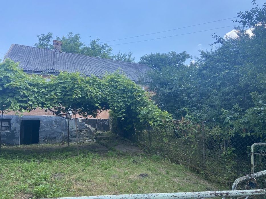 Продаж будинку Великий Житин