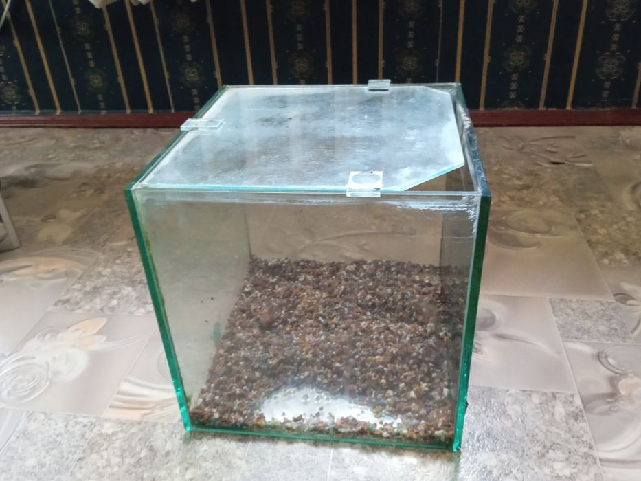 Продам недорого акваріум