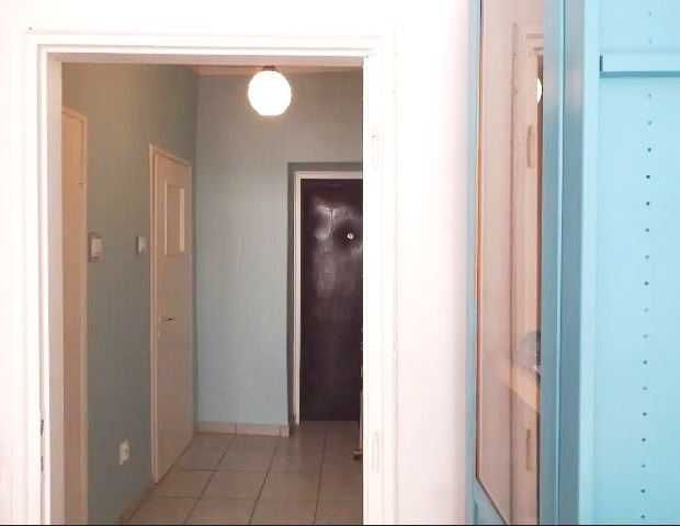 Zdjęcie 5