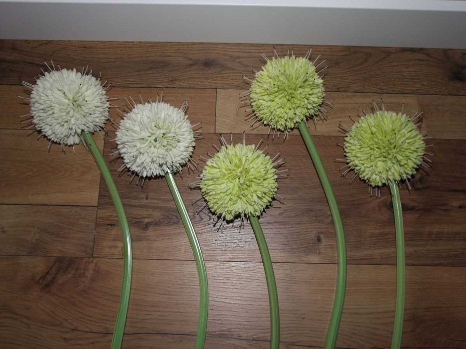 Przepiękne kwiaty sztuczne-czosnki-dł. 70 cm-5 szt.
