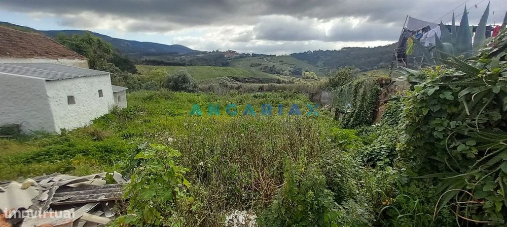 ANG1383 - Terreno para Venda em Cadaval, Lisboa — Lamas E Cercal, Lisboa