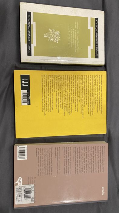 Lote 3 Livros Filosofia: Bertrand Russell + Paulo Morgado + Nigel Warburton