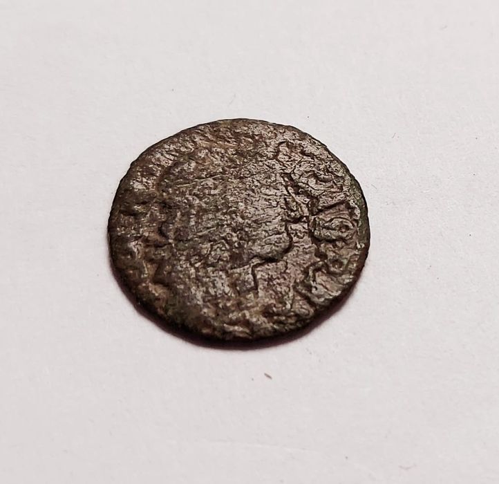 Boratynka Jana Kazimierza nr 60