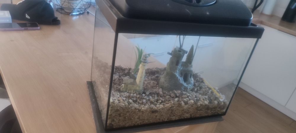 Sprzedam akwarium 30l z wyposażeniem