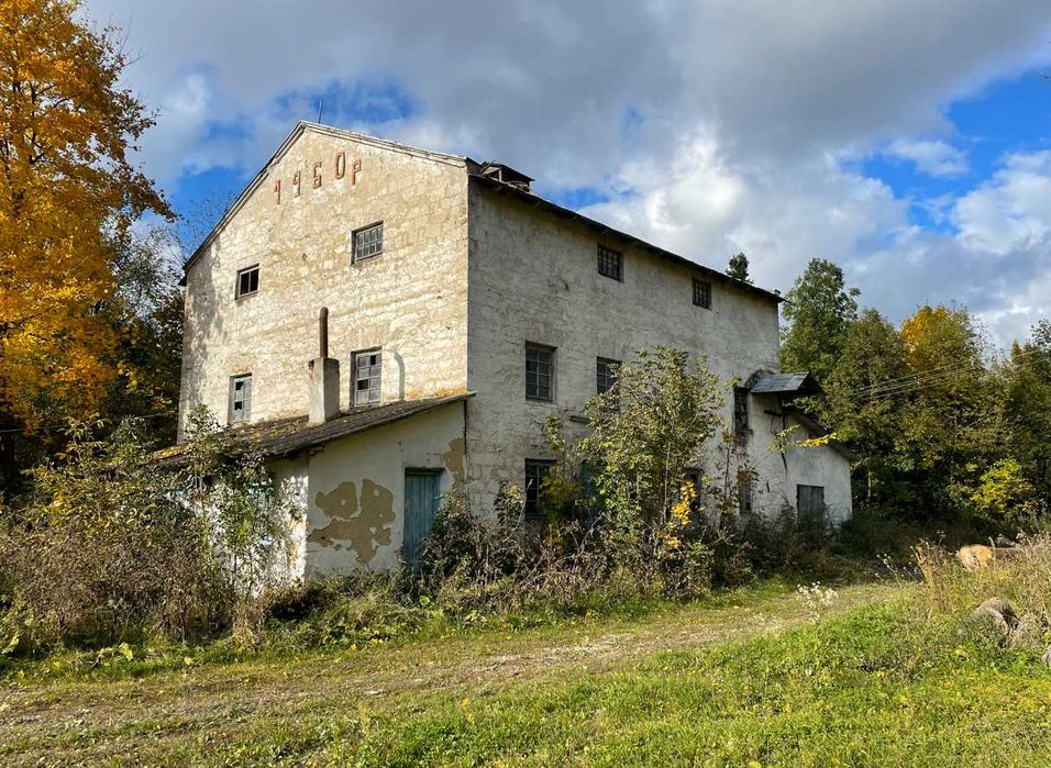 Будівля (млин) 320,1 м2, Ридомиль, вулиця Центральна, 79