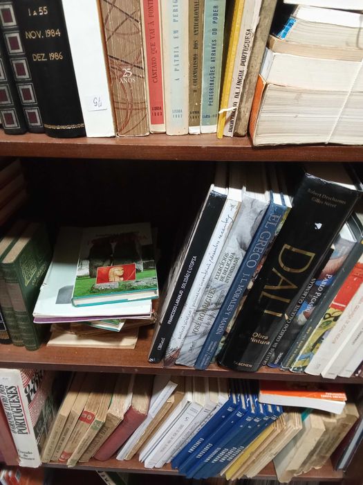 Livros 2.732, diversos, alguns raros e antigos, diversos autores,
