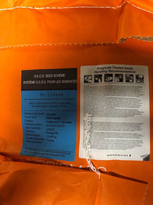 Kukurydza KWS Hypolito , Mas 31 L, ES Inventive, Citadel , DKC 3796