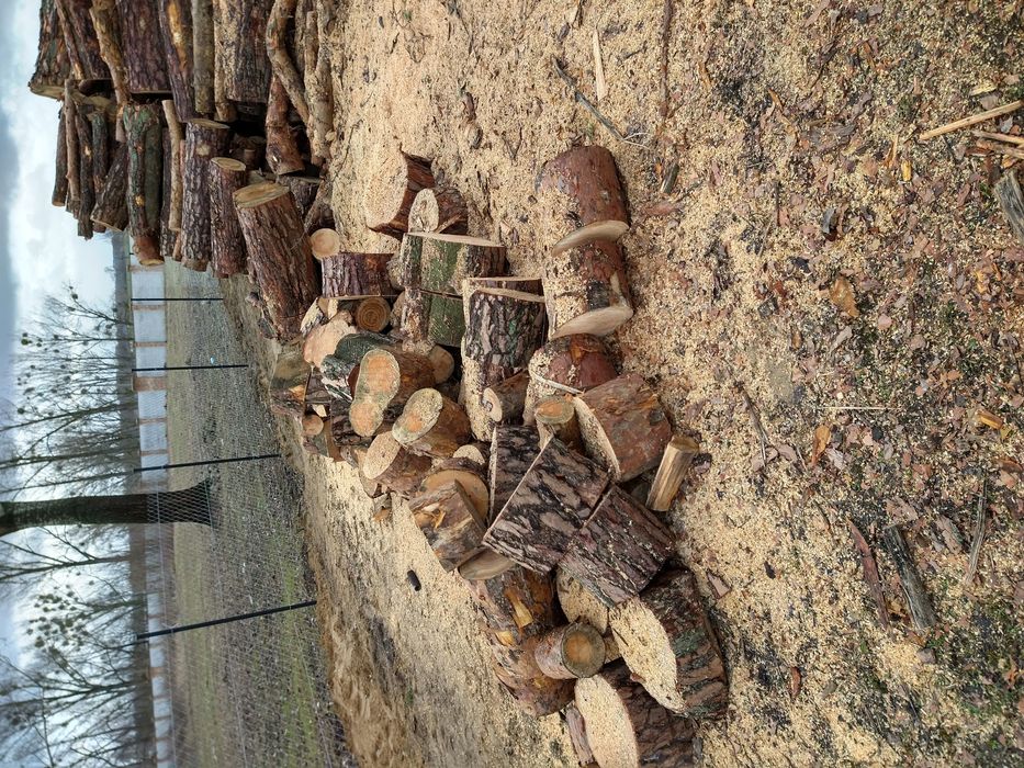 Drewno opałowe Brześć i okolice