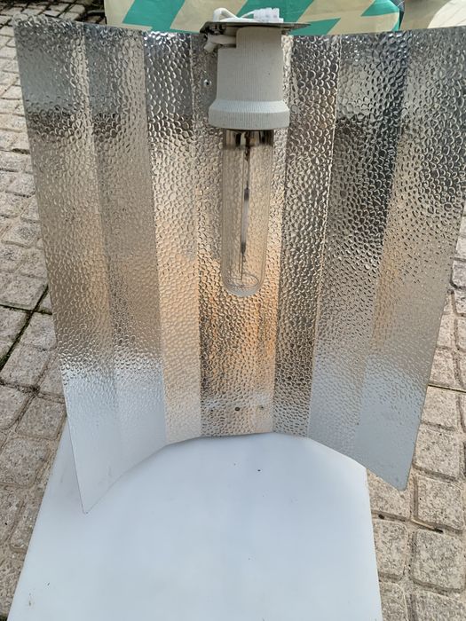 Estufa competa indoor