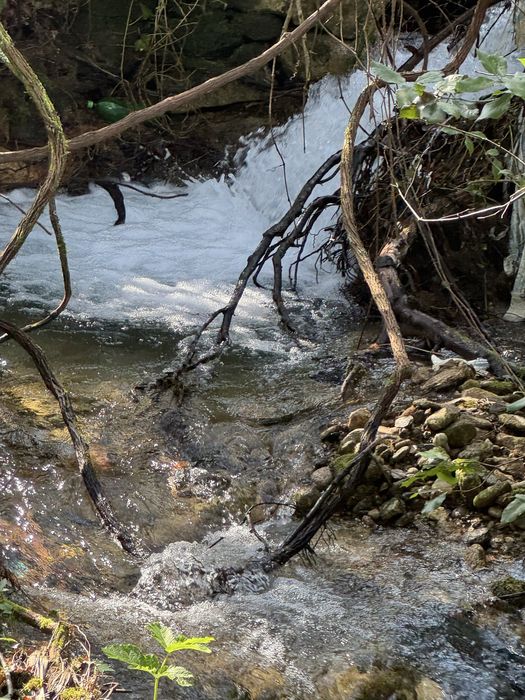 Terreno urbanizável, agrícola e florestal em Monção