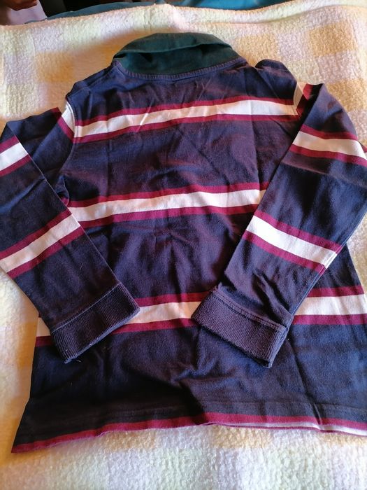 Polo Gocco lindo 5/6 anos