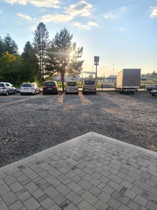 Skoda Octavia wynajem / wypożyczalnia / bus / laweta / auto / JBCars