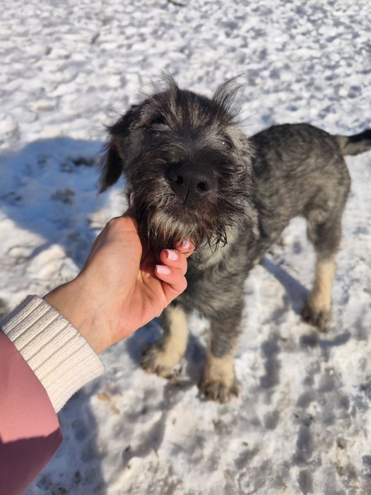 Szukamy najlepszego domu pod Słońcem