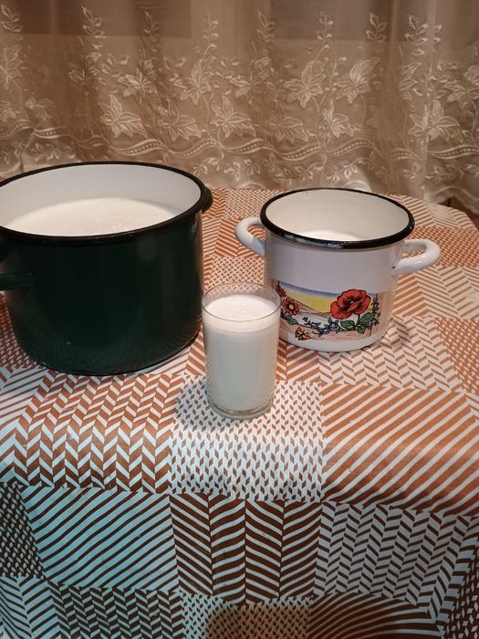 Mleko od kóz anglonubijskich