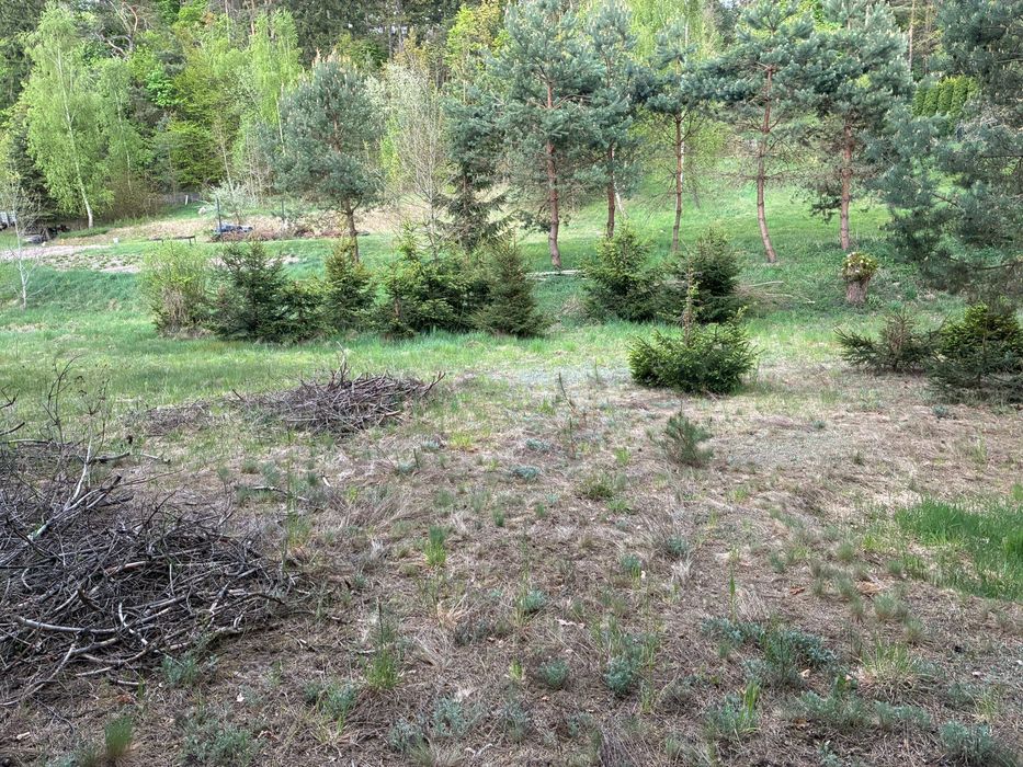 Działki budowlane 1000–1300 m².  Cisza + zieleń Kolonia Ostrowicka - Widok 5
