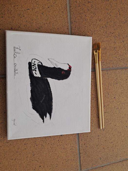 Quadro a acrílico- Galeirão-de-crista