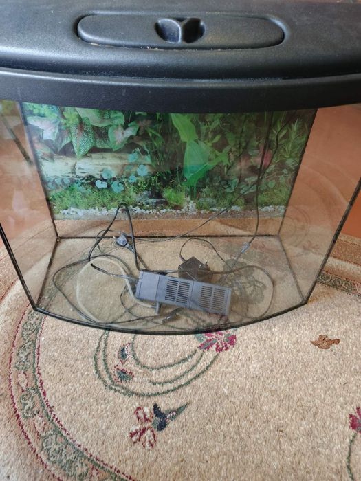 Акваріум  - 80 л