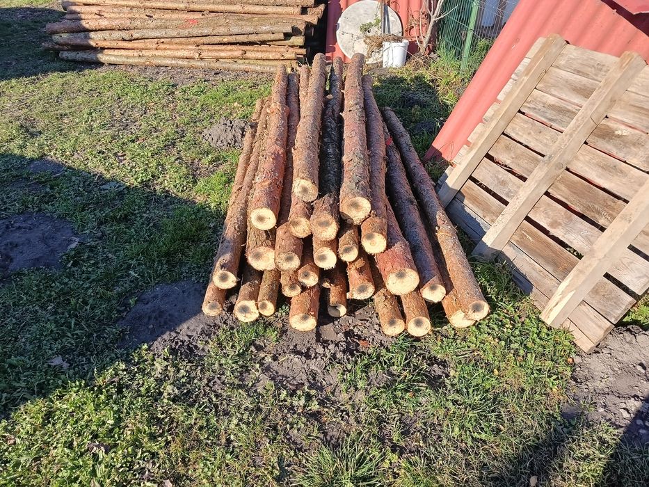 Stemple budowlane lub na ogrodzenie tymczasowe słupki dębowe