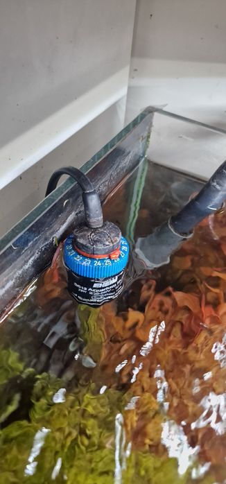 Aquário 80x40 kit completo