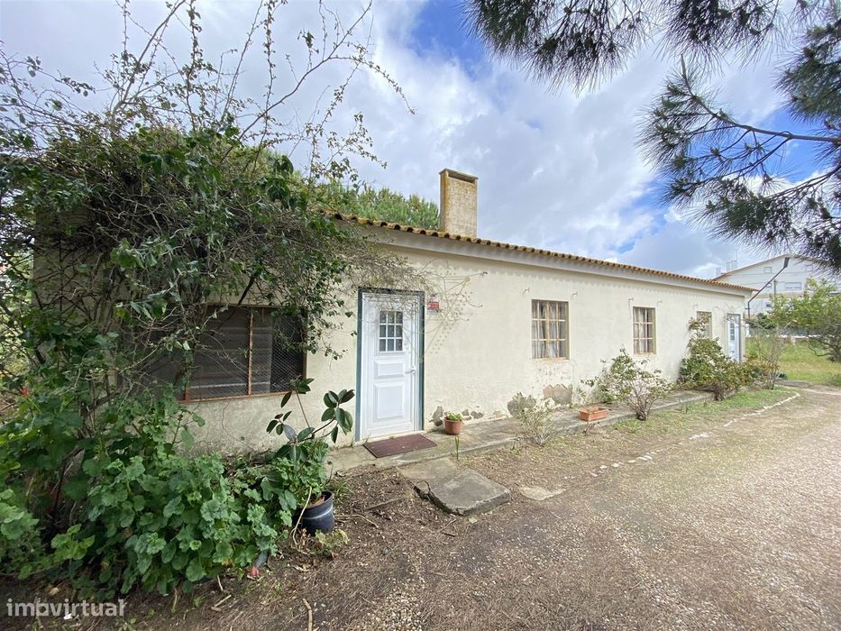 Arrecadação  Venda em Benavente,Benavente