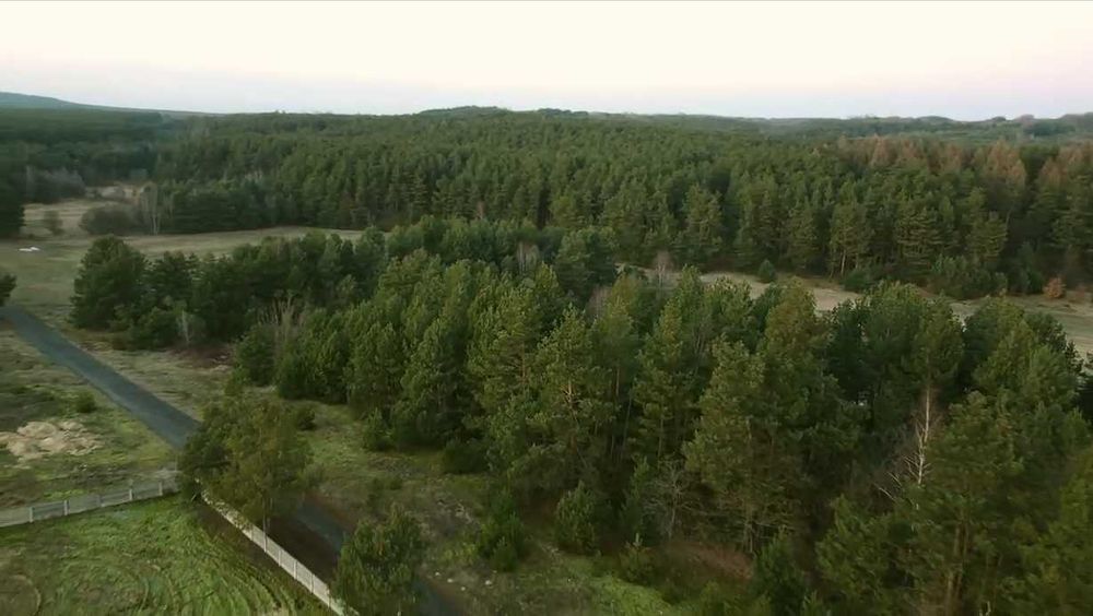 Twoje miejsce na Jurze - rozległa działka siedliskowa