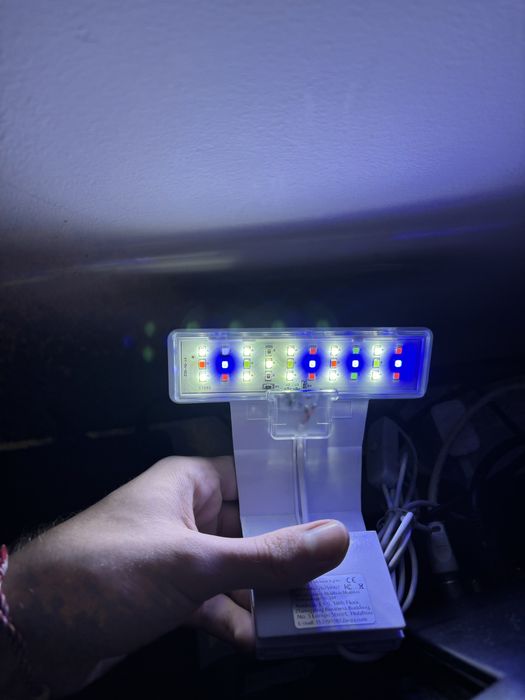 Luz para aquario para aquario plantado