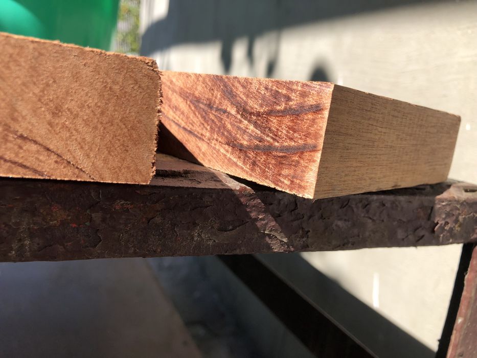 Червоне дерево «махонь»