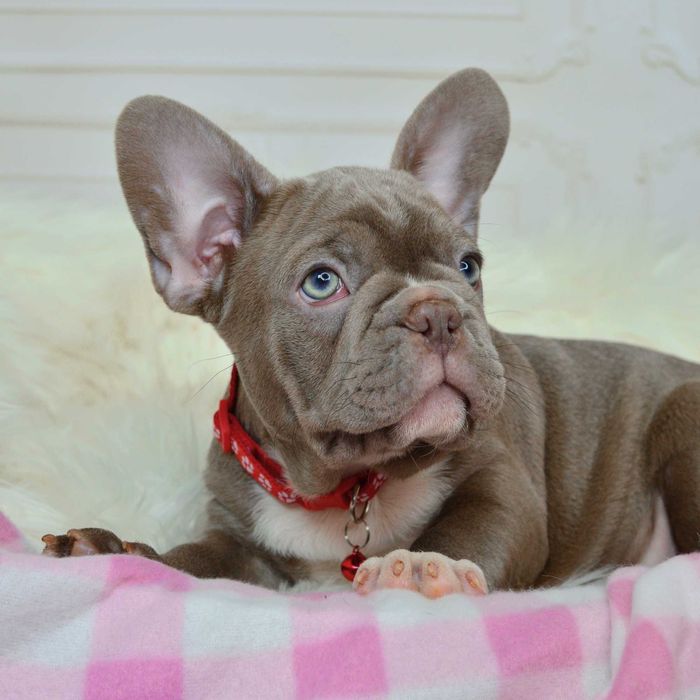 !Казкові малюки у пошуках люблячих родин!