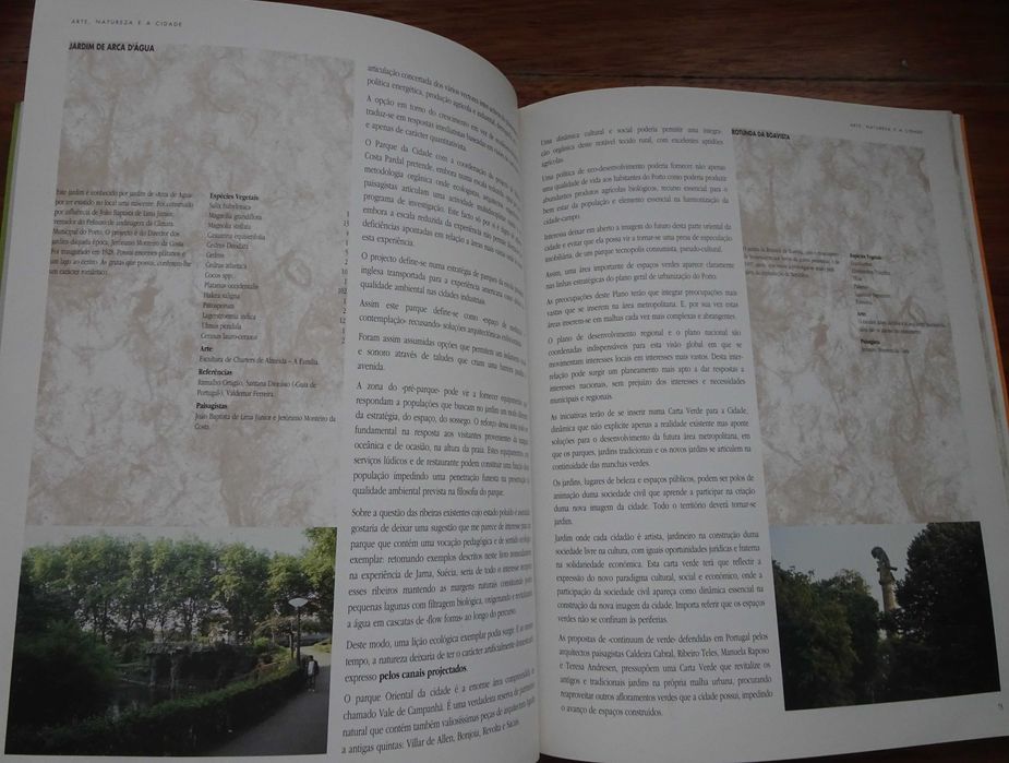 Arte Natureza e A Cidade