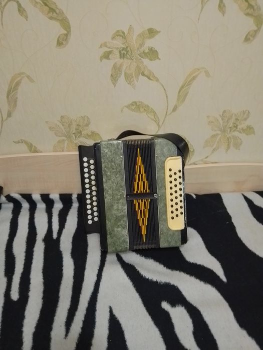 Гармошка    Тула