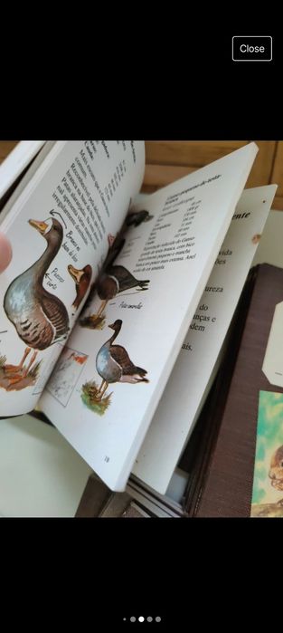 Coleção Cadernos de Campo