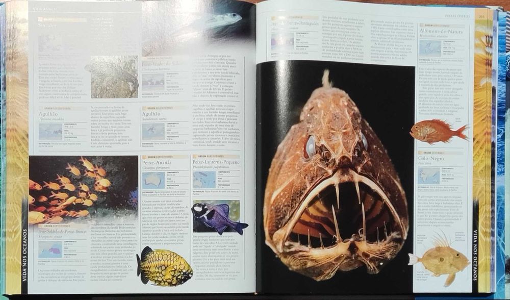 "Grande Enciclopédia do Oceano" de Fabien Cousteau