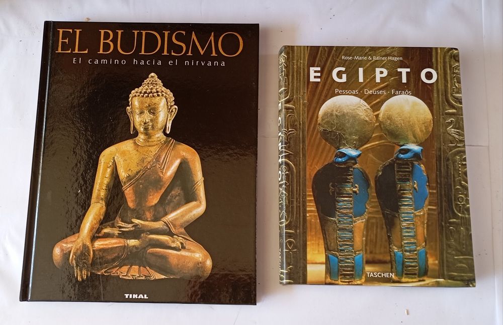 Lote de livros antigos