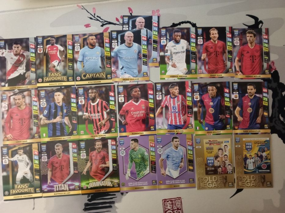 Karty piłkarskie FIFA 365 r2025