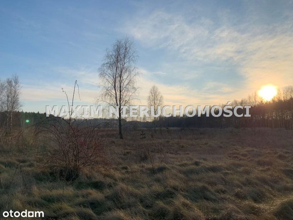 Działki z Wz w Latonicach gm Nowe Miasto