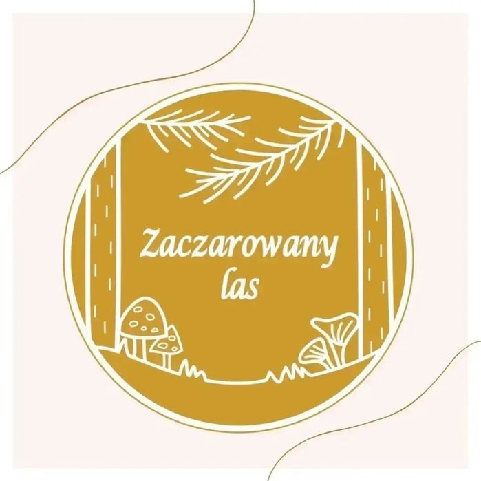 Bluza, kurtka, sweter, wełna 100% z odzysku, merino, lisek, od 74 cm