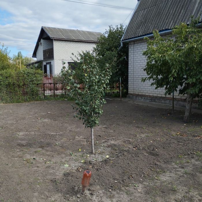 Доглянута двоповерхова дача з садом с. Щербаки, Полтавська область