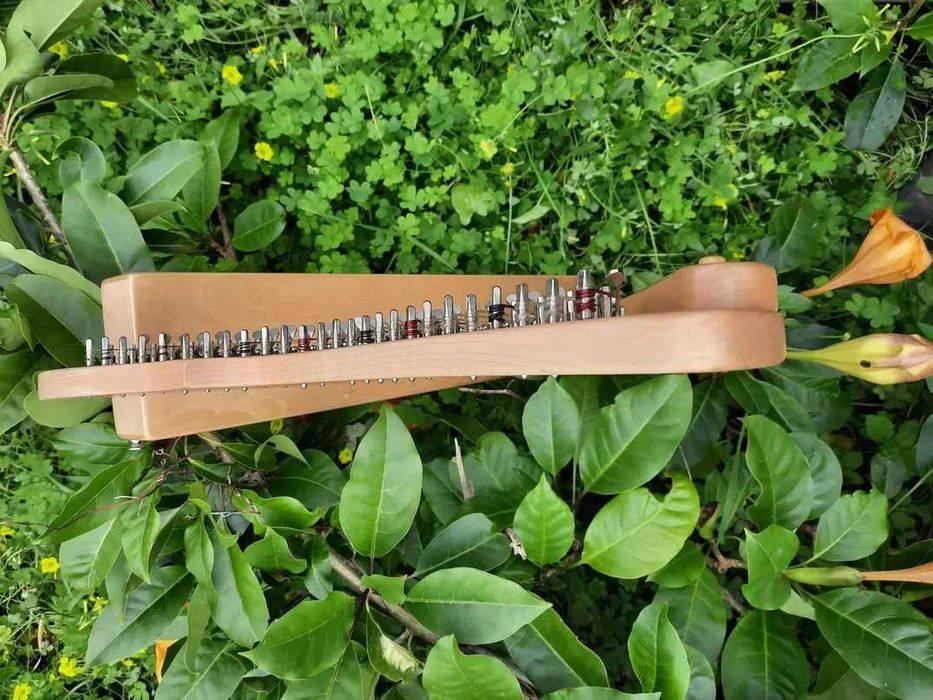 Harpa céltica /  Celtic Harp